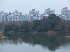 -新江湾城公园