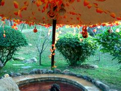 -森波拉火山温泉