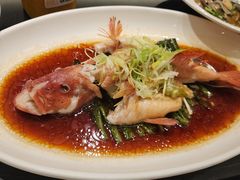 -新南华大酒店(广中店)