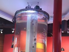 -秤砣砣·湖南粉面馆(青年路店)