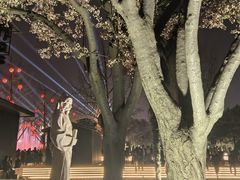 -大雁塔北广场音乐喷泉