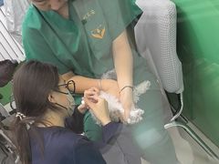 -利又安动物医院··老年病·猫科犬科·中兽医