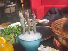 -乔先生涮肉·鲜活牛羊肉火锅(塘沽店)