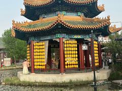 -曹州牡丹园