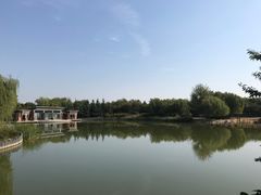 -大兴滨河森林公园