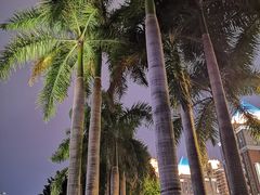 -闽江夜游台江旅游码头