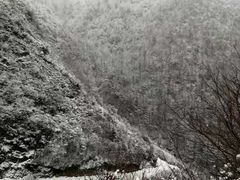 -云顶山风景区