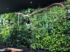 -Seesaw Coffee(环贸iapm店)
