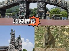 -安徽大青山野生动物世界