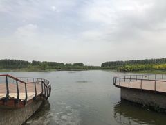 -东郊湿地公园