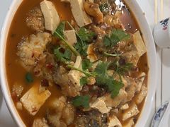 -煲来饱去冷水鱼