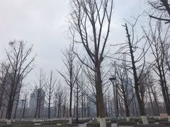 -两江幸福广场
