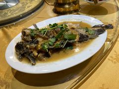 小姐鱼-丁字口海鲜热炒·烧烤大排档