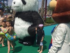 -苏州乐园森林水世界