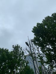 -HEYAN长风荷妍专业脱毛美肤

