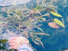 -丽江泸沽湖景区