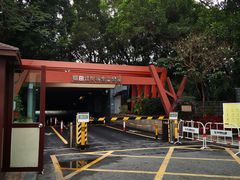 -福田红树林生态公园