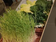 -二刀潮牛(重庆光环购物公园店)