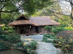 -中国茶叶博物馆(双峰馆区)