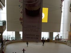 -冰纷万象滑冰场(二七万象城店)