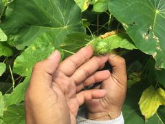 -龙坑生态保护区