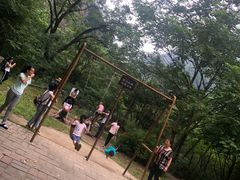 -青峰峡国家森林公园