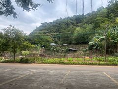 -广州市帽峰山景区