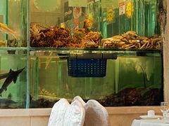 -万龙洲海鲜(广渠门店)