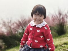 -羊山湖公园