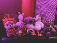 -PAWTOY爪e玩偶店(天兴罗斯福店)