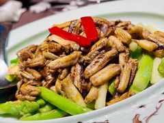 -蟹榭·莳鲜(虹桥高岛屋店)