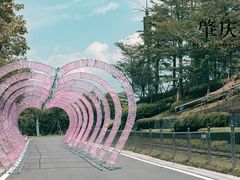 -恒大世纪梦幻城