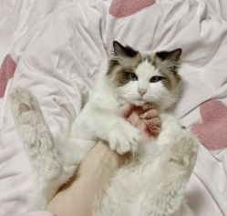 -PINK STAR美甲美睫