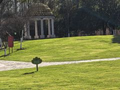 -合肥滨湖国家森林公园