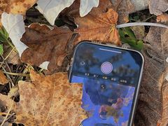 -森林公园(尖草坪区)