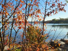 -长春市南湖公园