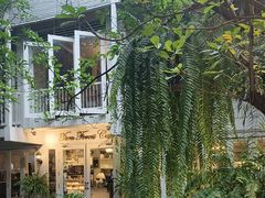 -Fern Forest Cafe