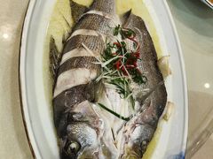 -南湖船菜大酒店