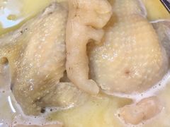 -鲜入围煮花胶鸡海鲜火锅