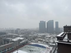 -大兴滨河森林公园