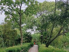 -西溪国家湿地公园