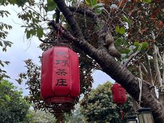 -阿巧茶庄