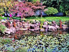 -上海醉白池公园