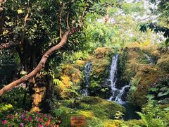 -Chom Cafe and Restaurant