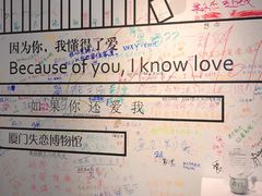 -厦门失恋博物馆(中华城店)