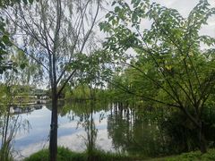 -白鹭湾湿地公园