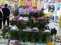 -大润发(鹤山店)