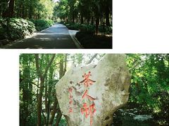 -西湖游船