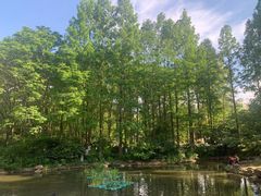 -苏州河梦清园环保主题公园