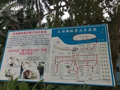 -东郊椰林
